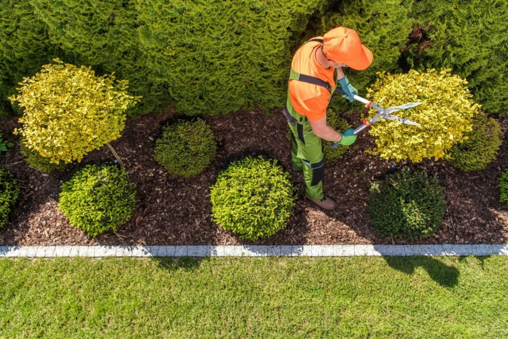 Garden Maintenance dublin