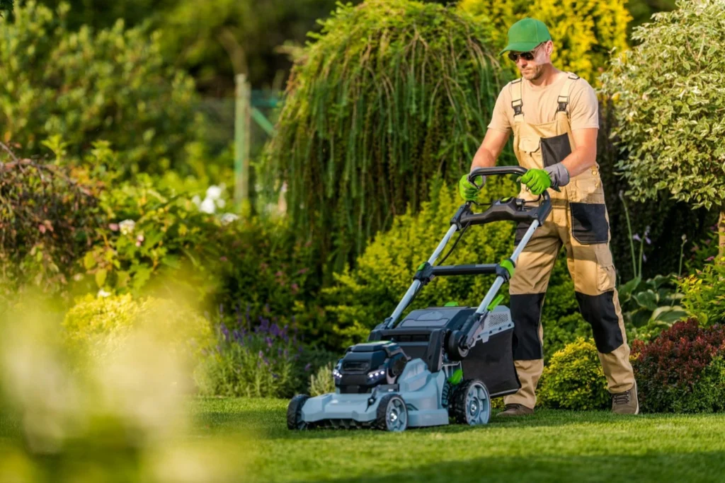 Lawn Care